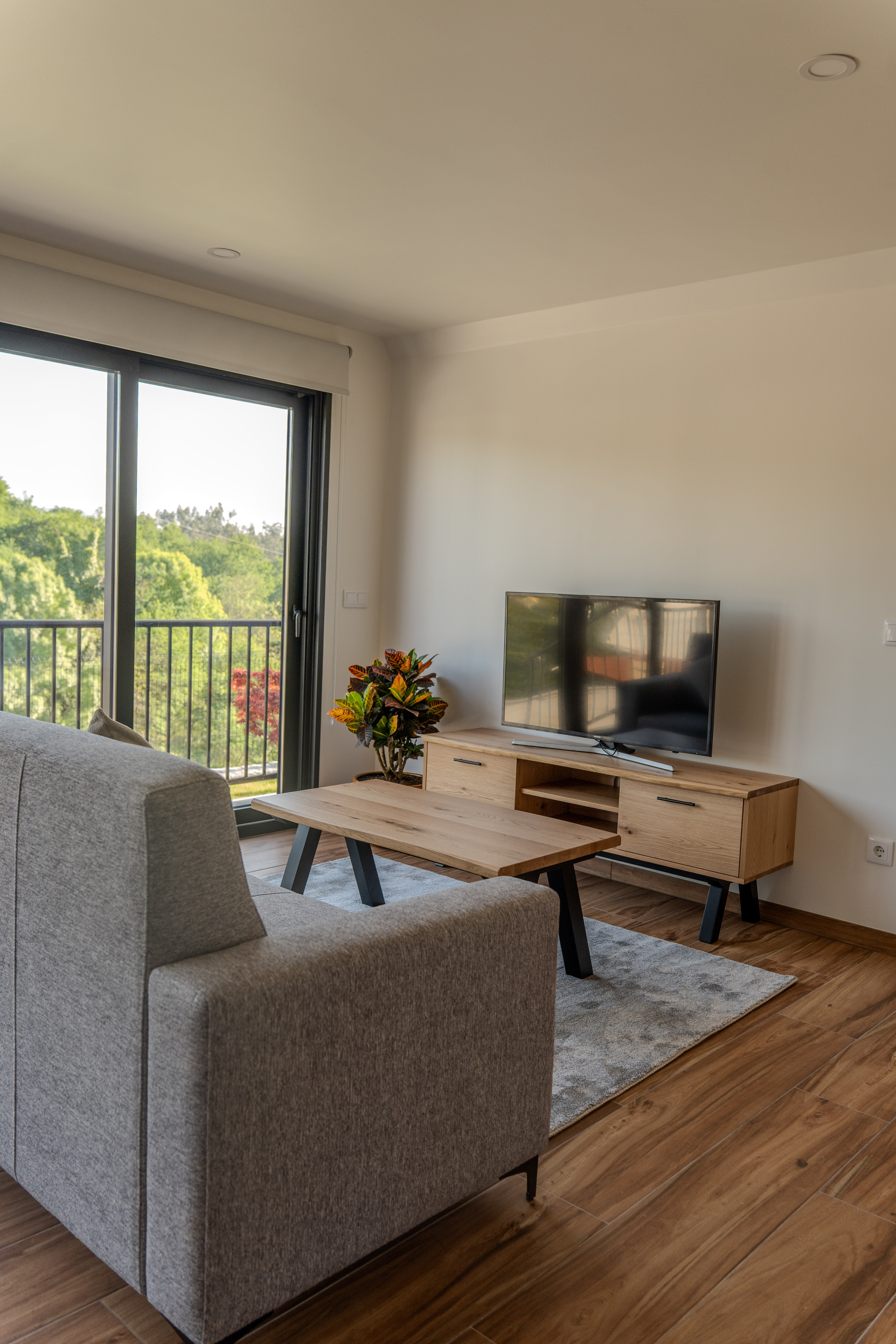 Sala de estar com TV e natureza