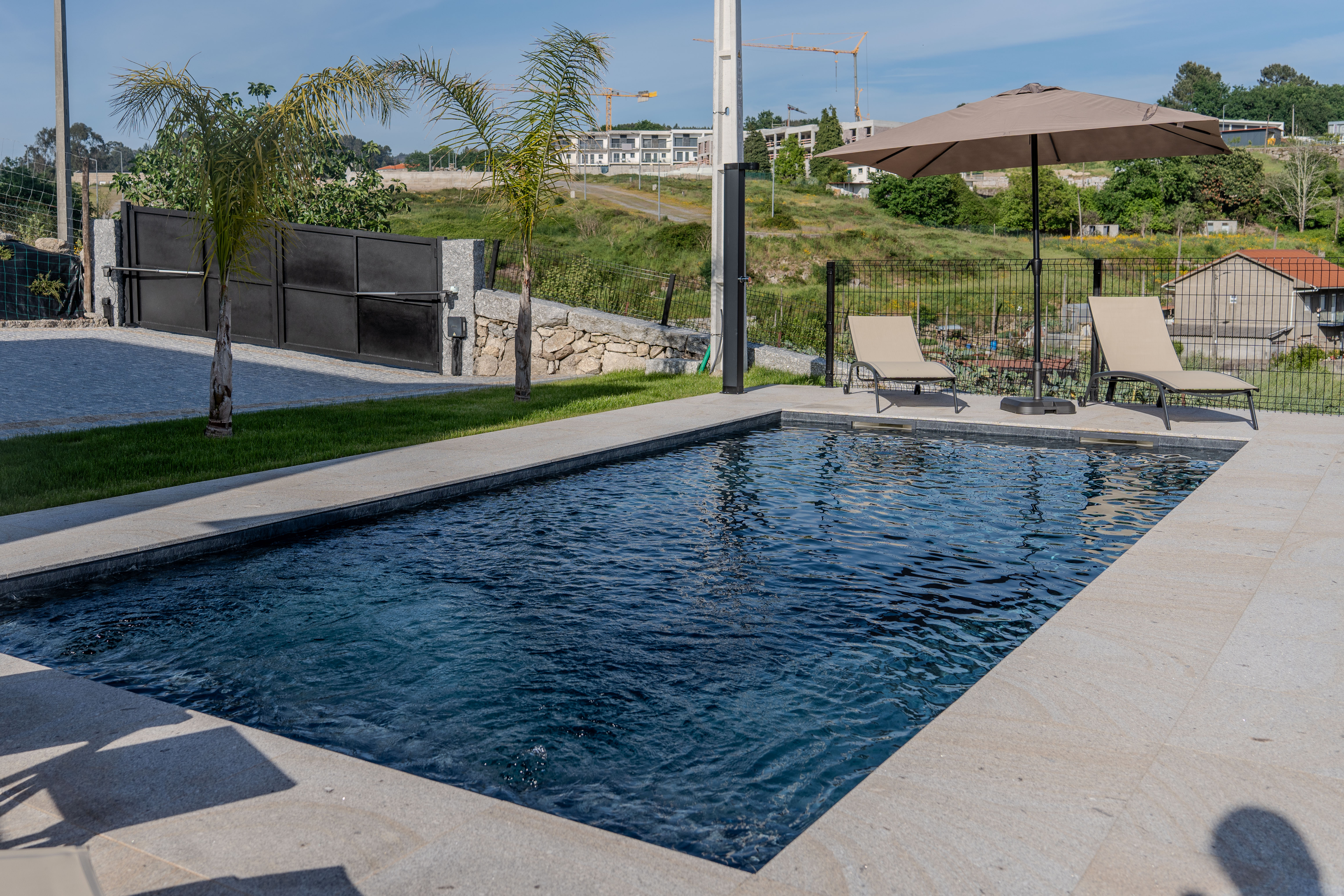 Piscina com palmeiras